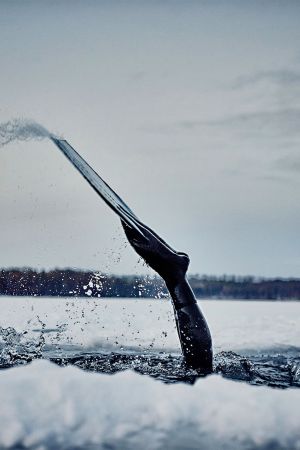 Johanna Under The Ice (2016)